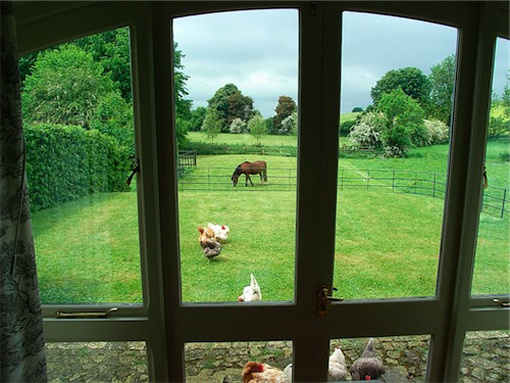 view over garden and animals grazing