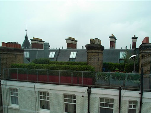 London Roof garden chelsea