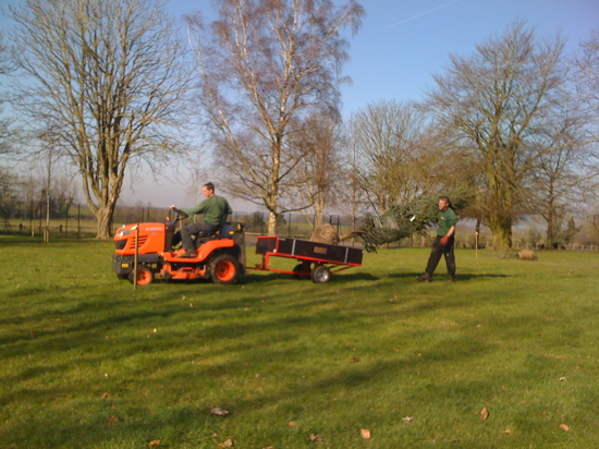 Tree planting in Hampshire