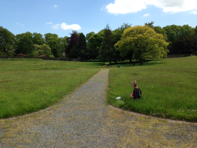 Hillsborough walled garden – (June ’15)