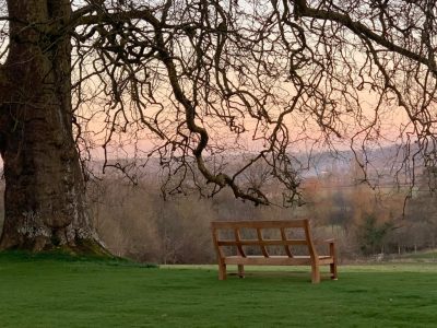 Oak garden seat with a view